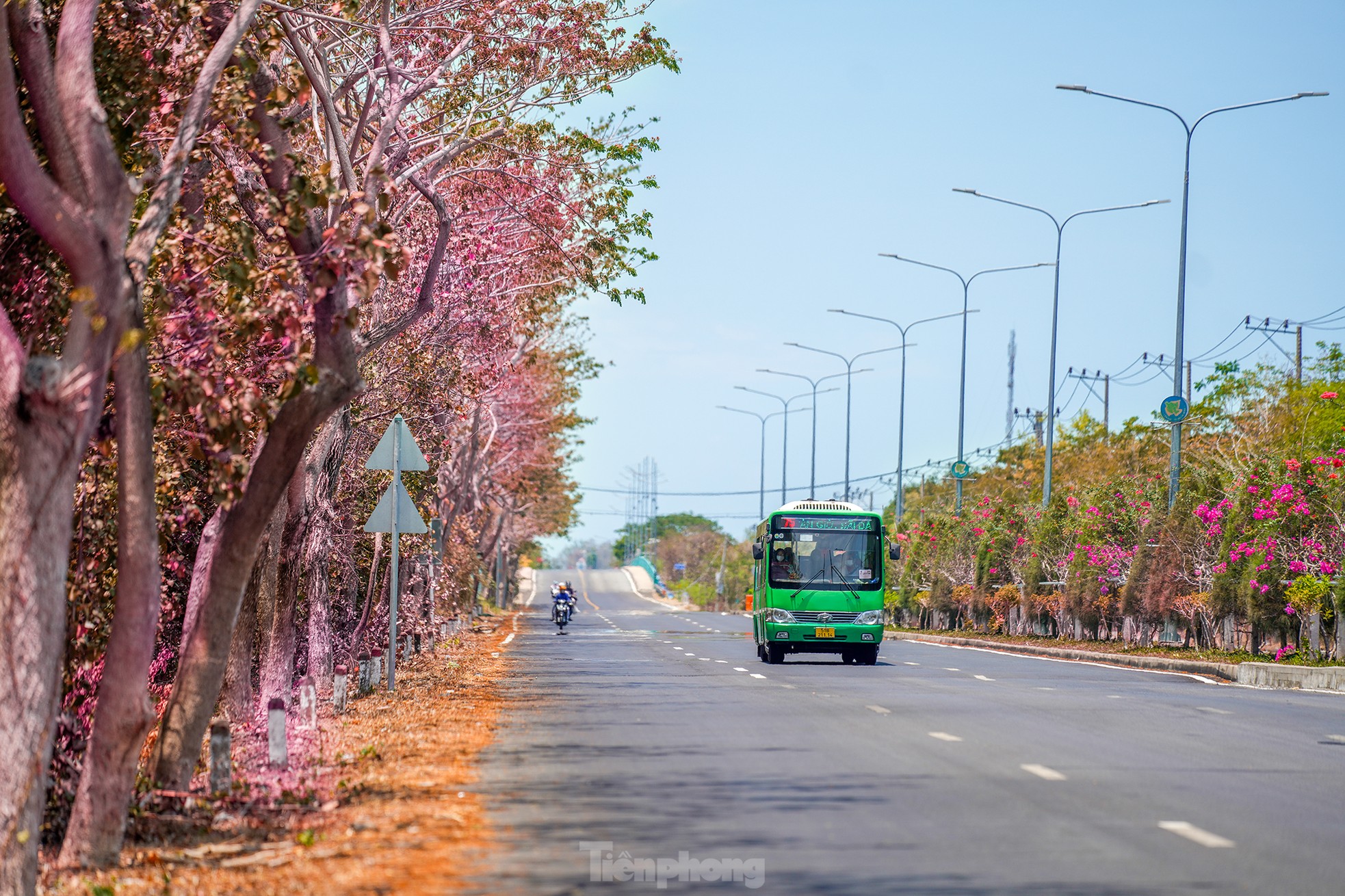 Tuyến đường độc đạo xuyên rừng đẹp như tranh ở TPHCM- Ảnh 9.