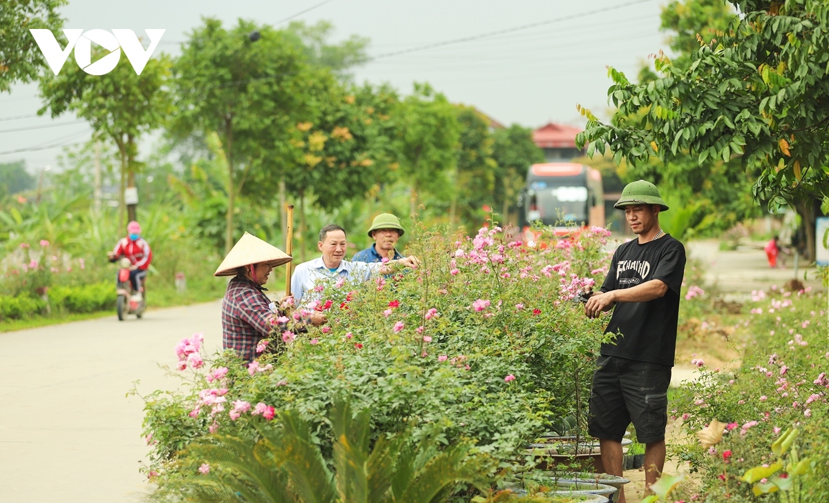 Diện mạo Đông Triều - đô thị trên đường trở thành thành phố thứ 5 của Quảng Ninh- Ảnh 8.