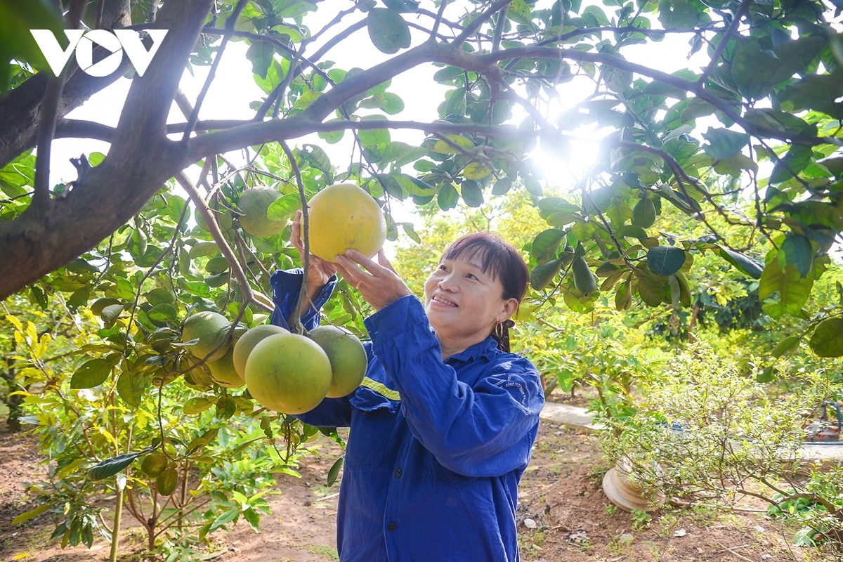 Diện mạo Đông Triều - đô thị trên đường trở thành thành phố thứ 5 của Quảng Ninh- Ảnh 7.