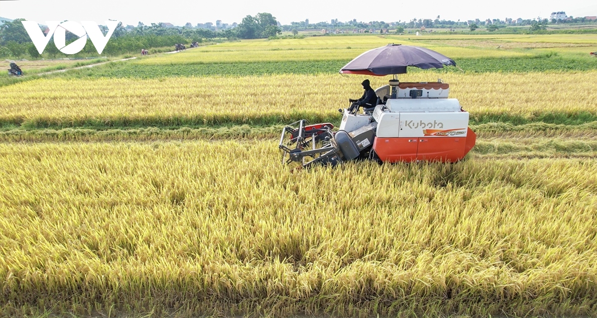 Diện mạo Đông Triều - đô thị trên đường trở thành thành phố thứ 5 của Quảng Ninh- Ảnh 5.